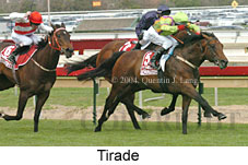 Tirade (15510 bytes)