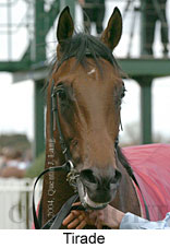 Tirade (11769 bytes)
