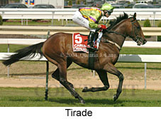 Tirade (16733 bytes)