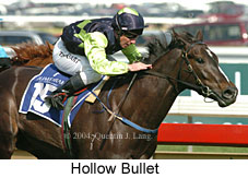 Hollow Bullet (16363 bytes)