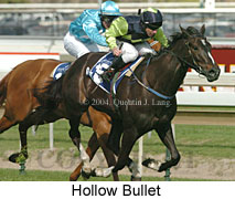 Hollow Bullet (16849 bytes)