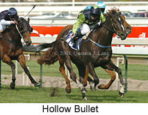 Hollow Bullet (16793 bytes)