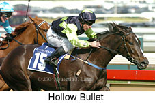 Hollow Bullet (16073 bytes)