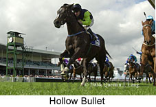 Hollow Bullet (13629 bytes)