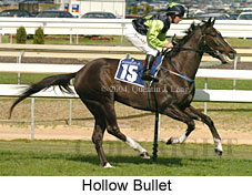 Hollow Bullet (18491 bytes)