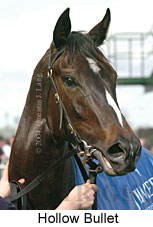 Hollow Bullet (11746 bytes)