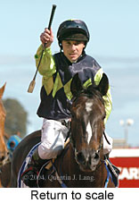 Return to scale (12623 bytes)