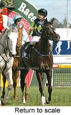 Return to scale (17261 bytes)