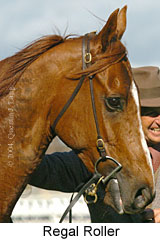 Regal Roller (14345 bytes)