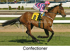 Confectioner (16978 bytes)