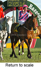 Return to scale (17554 bytes)