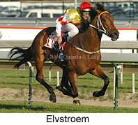 Elvstroem (16247 bytes)