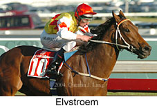 Elvstroem (16132 bytes)