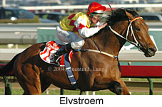 Elvstroem (15965 bytes)