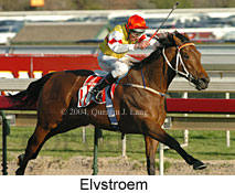 Elvstroem (17096 bytes)