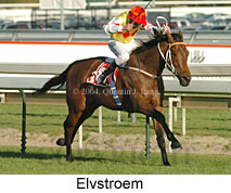 Elvstroem (16530 bytes)