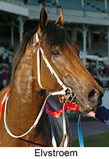 Elvstroem (14571 bytes)