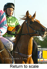 Return to scale (14294 bytes)