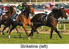 Strikeline (20401 bytes)