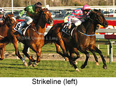 Strikeline (21210 bytes)