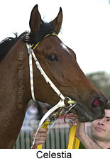r10celestia3.jpg (10702 bytes)