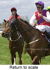 r2rtosc.jpg (14527 bytes)