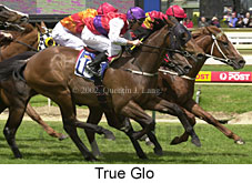 r2trueglo.jpg (18844 bytes)