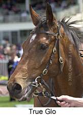 r2trueglo2.jpg (13245 bytes)