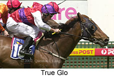 r2trueglo3.jpg (15762 bytes)