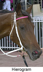 r3hierogram2.jpg (11435 bytes)