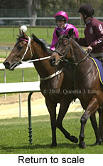 r3rtosc.jpg (14297 bytes)