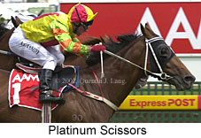 r4platinumscissors.jpg (16406 bytes)