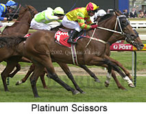 r4platinumscissors2.jpg (16899 bytes)