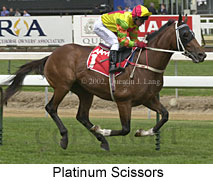 r4platinumscissors3.jpg (16528 bytes)