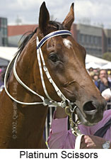 r4platinumscissors4.jpg (13592 bytes)