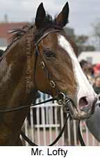 r5mrlofty2.jpg (11061 bytes)