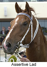 r6assertivelad2.jpg (12412 bytes)