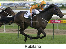 r7rubitano.jpg (15356 bytes)