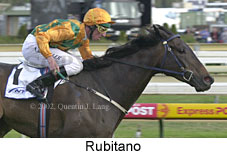 r7rubitano2.jpg (13495 bytes)