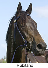 r7rubitano3.jpg (10120 bytes)