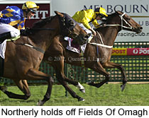 r8northerly.jpg (18382 bytes)