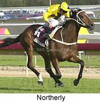 r8northerly2.jpg (17298 bytes)