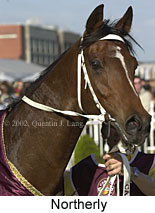 r8northerly3.jpg (12428 bytes)