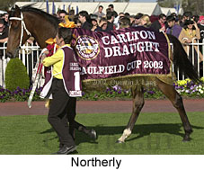 r8northerly4.jpg (20471 bytes)