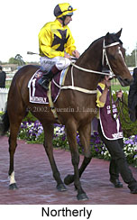 r8northerly5.jpg (14914 bytes)