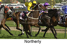 r8northerly6.jpg (16883 bytes)