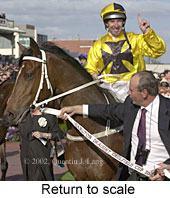 r8rtosc.jpg (15504 bytes)