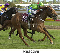 r9reactive.jpg (15919 bytes)