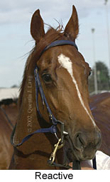 r9reactive2.jpg (11597 bytes)