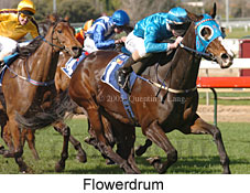 Flowerdrum (14772 bytes)